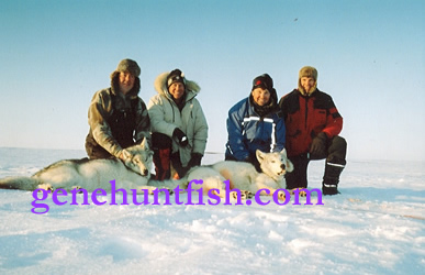 Hunters In The High Arctic Out Hunting